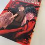 My Hero Academia Manga Kohei Horikoshi 13 Volumes Mixed Set Image 4