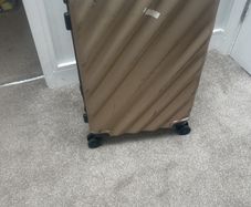 Free gold suitcase