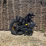 Engwe Engine Pro 2.0 folding e-bike Image 3
