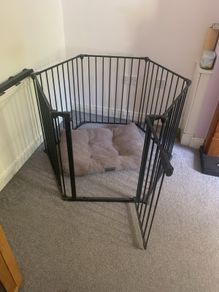 Puppy crate
