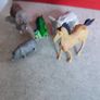 Selection of wild ANIMAL  . Image 2