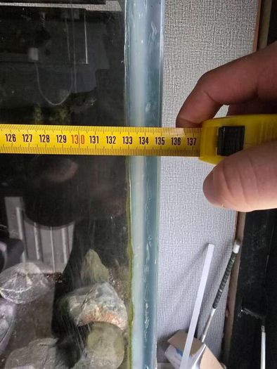 1000ltr Fish Tank Best Offer Takes It, Need It Gone Asap