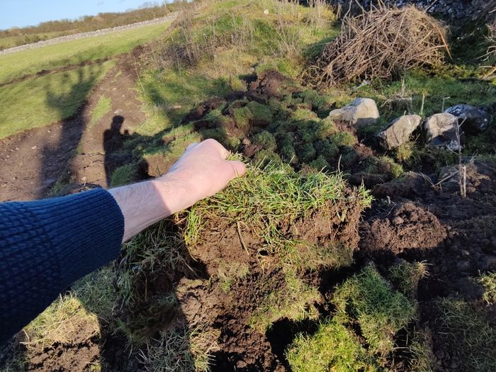 Grass covered soil