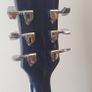 Richwood Electric Acoustic Image 9