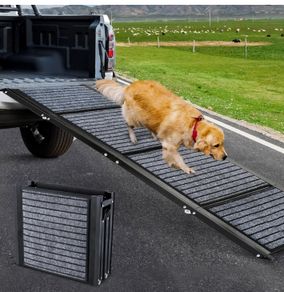 Folding dogs ramp