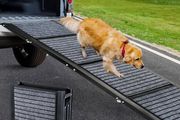 Folding dogs ramp