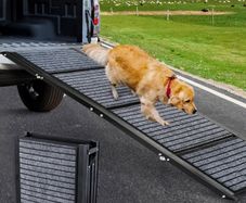 Folding dogs ramp