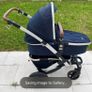 buggies Image 6