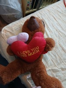 Brand new teddy bear with hearts
