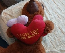 Brand new teddy bear with hearts