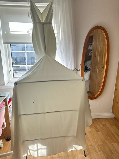 Wedding Dress and Veil