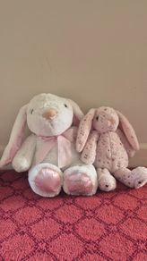 Teddies