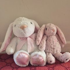 Teddies