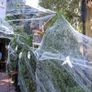 Halloween Spider Web Decoration,100g Spider Web Halloween Decoration with 20pcs Fake Spiders Web Cobweb,Stretchable Halloween Cobwebs for Halloween Decorations Haunted House Halloween Party Image 3