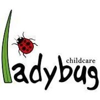 Ladybug Childcare Jobs in Ireland