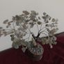 gem tree Image 4