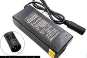 Fiido D3 D3S D3 pro electric bike bicycle charger