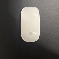 Apple PC mouse