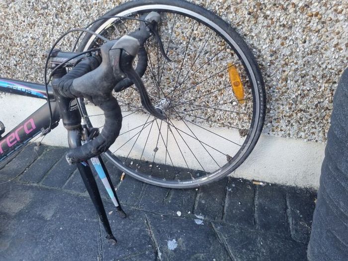 carrera frame