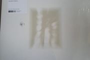 Fat White Family Forgiveness is yours lp