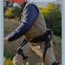 mobility aid Image 3