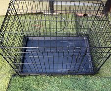 dog cage