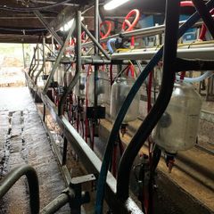 Milking parlour