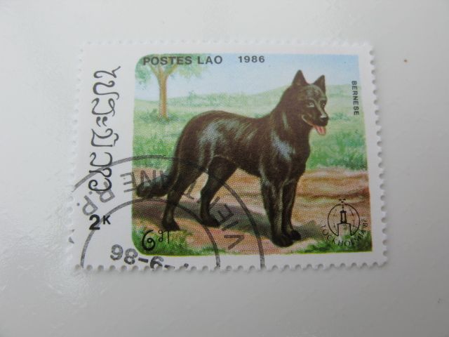 Set of Laos Stamps featuring Dogs