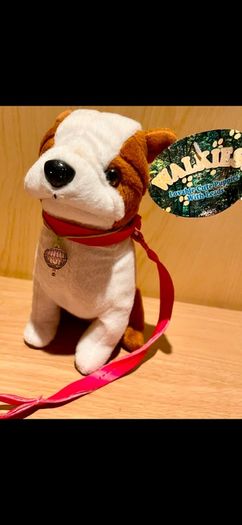 Dog in Basket Brand New Bundle