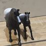 Schleich Horses Image 3