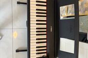 Yamaha Keyboard Piaggero NP 15