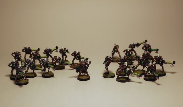 Necron Warriors, Lord & Scarabs Warhammer 40k