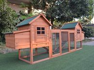 main image for ad 10-12 Hen Ladies Quarters Coop, Free Delivery