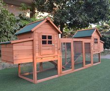 10-12 Hen Ladies Quarters Coop, Free Delivery