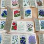 Kensitas Medium Silk Cigarette Cards Flowers 1934 - 31 Medium and 4 Small Image 8