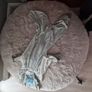 dog cloth Image 2