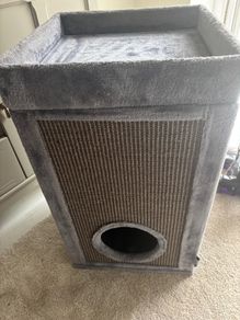 Cat Tower