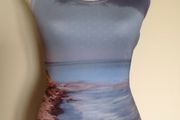 BNWOT 'Picture' Top Size S