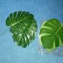 Faux Foliage Image 10