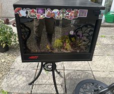 reptile tanks for sale