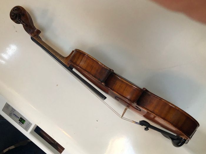 Lady violin
