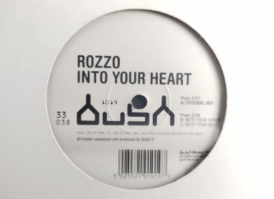 Rozzo - Into Your Heart - Bush Records - ORIGINAL Bush 1994 PRESSING! Quintessential Dublin CLASSIC!