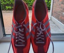 trainers