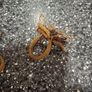 napkin rings Image 4