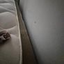 wooden bunk Image 2