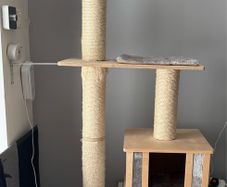 Natural Paradise Nolana Scratching Tree