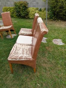 Dining Chairs
