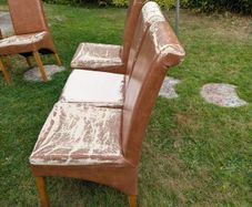 Dining Chairs