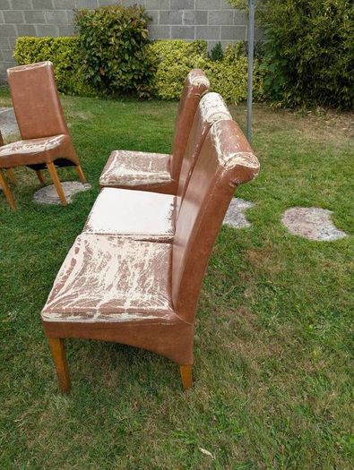 Dining Chairs