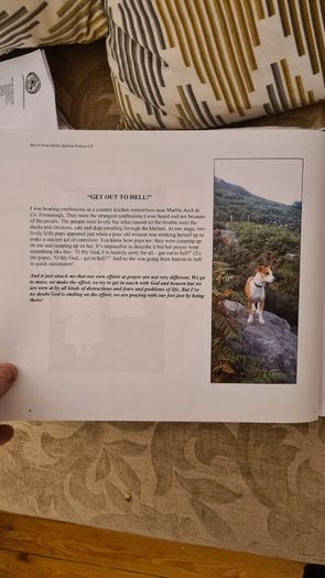 Stories From Life By Ignatius Waters. C. P. Beautiful Illustrated Large Volume Hardback With Dustjacket In Very Good Condition.make Lovely Christmas Present. 34.